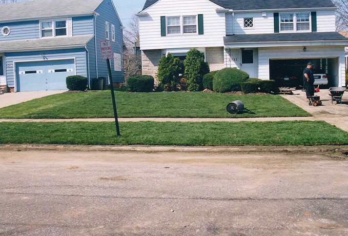 Lawn Sod Installation: Before and After