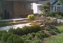 Landscape Yard Makeover: Front Yard Renovation