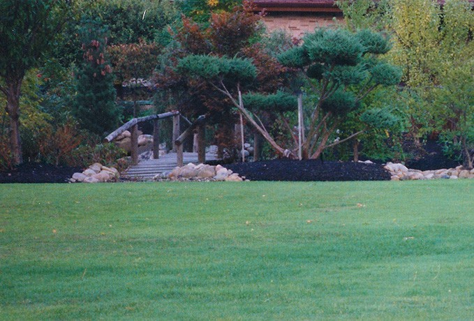 Plant Design Arrangements: Japanese Garden Style Lawn