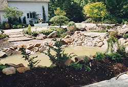 Water Features, Walls & Fountains:  Feature/Driveway & Plants